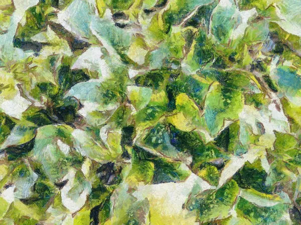 Arbusto Verde Ilustraciones Crea Estilo Impresionista Pintura —  Fotos de Stock