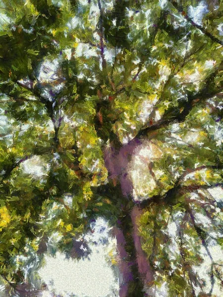 Многолетние Деревья Большими Зелеными Кустарниками Иллюстрации Создают Импрессионистский Стиль Живописи — стоковое фото