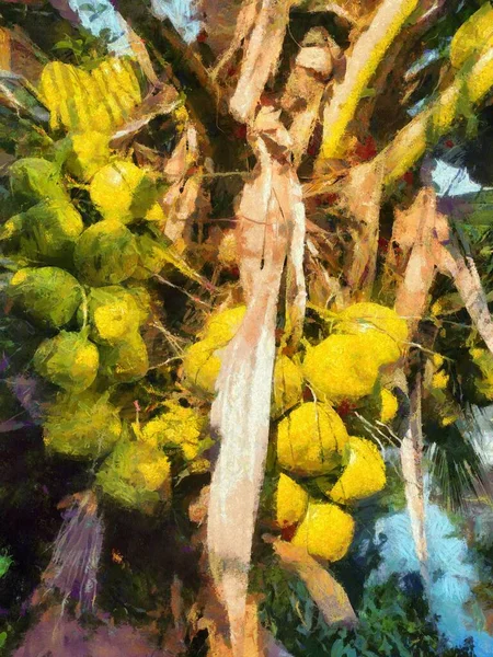 Kokospalmen Und Kokosnüsse Illustrationen Schafft Einen Impressionistischen Malstil — Stockfoto