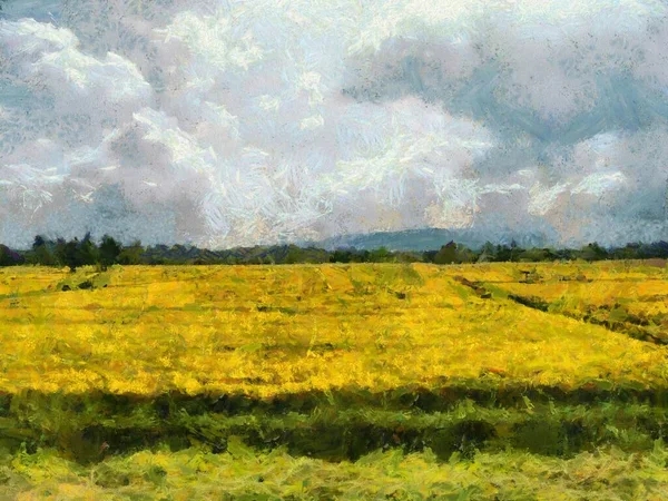 Sky Grassland Trees Illustrations Creates Impressionist Style Painting — Stock Photo, Image