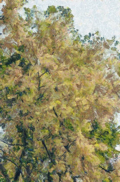 Berglandschap Met Bomen Mist Illustraties Creëert Een Impressionistische Stijl Van — Stockfoto