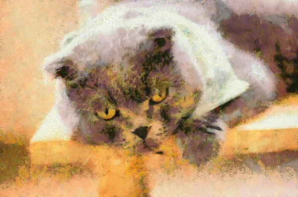 Gatos Bonitos Vários Gestos Ilustração Criando Pintura Impressionista — Fotografia de Stock