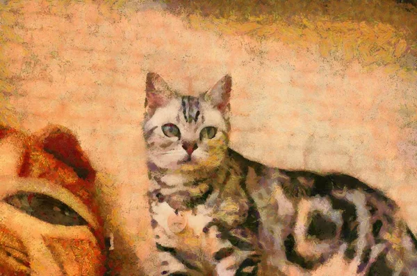 Söta Katter Olika Gester Illustration Skapar Impressionistisk Målning — Stockfoto