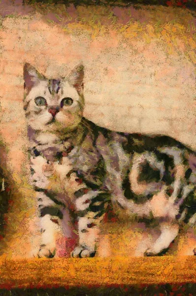 Gatos Bonitos Vários Gestos Ilustração Criando Pintura Impressionista — Fotografia de Stock