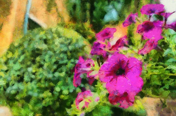 粉红的灌木 — 图库照片