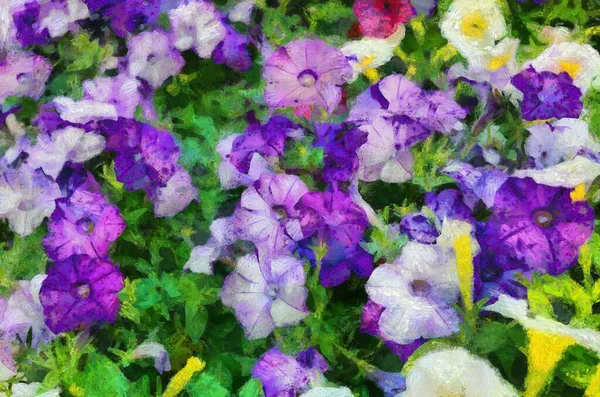 Purple flower bush The flowers have a bright purple spittoon Illustrations creates an impressionist style of painting.