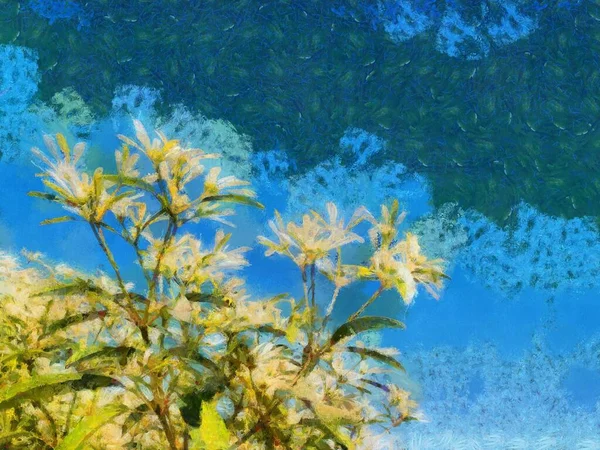 Shrub Tree White Flowers Flowers Have Lobular Shape Background Sky — Stock Photo, Image