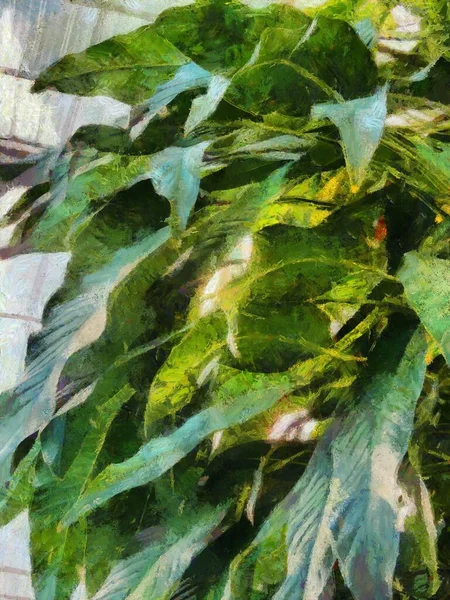 아름다운 잎사귀가 아름다운 잎사귀 잎사귀 삽화는 인상적 스타일을 만들어 — 스톡 사진