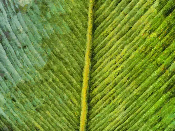 Details Leaf Size Large Beautiful Lines Leaves Illustrations Creates Impressionist — Stock Photo, Image