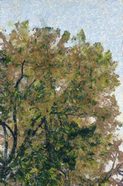 Bomen Houten Leggings Van Bomen Illustraties Creëert Een Impressionistische Stijl — Stockfoto