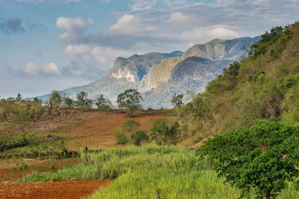 El valle de Vinales en Cuba es una importante zona de cultivo de tabaco — Foto de Stock