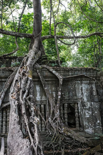 柬埔寨丛林上的古代本美米莱亚寺遗址. — 图库照片