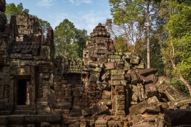 Ta Som Tapınağı Angkor Wat kompleksi, Kamboçya, Asya