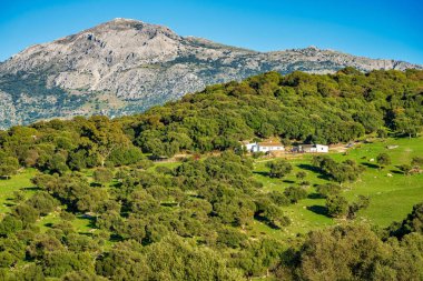 Landscape near Ubrique, Cadiz. Spain, Andalusia in the park of Alcornocales clipart