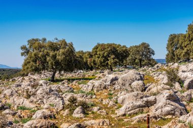 Malaga eyaletinde Cuevas del Becerro yakınlarındaki manzara, Endülüs, İspanya