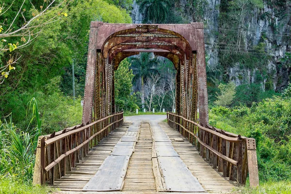 Das vinales-tal in kuba ist ein wichtiges tabakanbaugebiet — Stockfoto