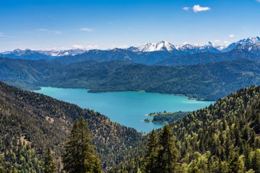 Bavyera Alpleri'ndeki Walchensee Gölü manzarası, Almanya