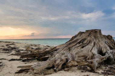 Güzel beyaz kum plaj, Cayo Levisa, Küba