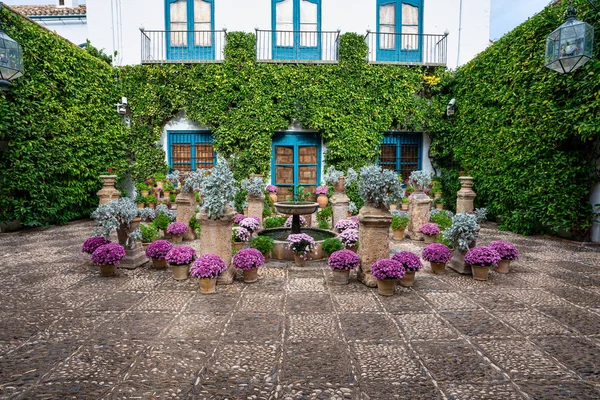 Courtyard garden of Viana Palace in Cordoba, Andalusia, Spain. — Stock Photo, Image