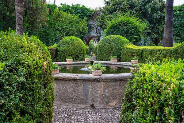 Nádvoří zahrady Viana Palace v Cordoba, Andalusie, Španělsko. — Stock fotografie