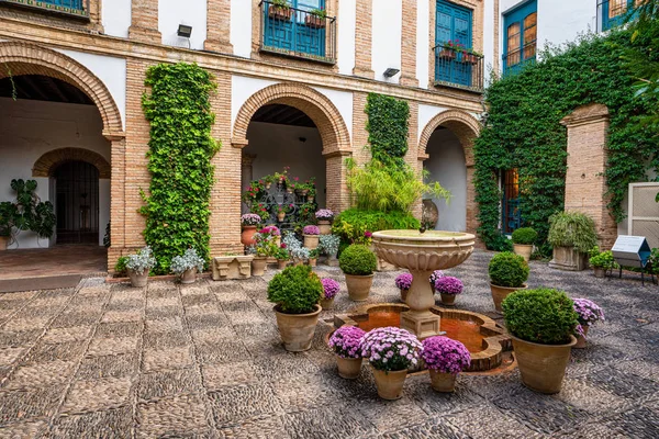 Patio jardín del Palacio de Viana en Córdoba, Andalucía, España . — Foto de Stock