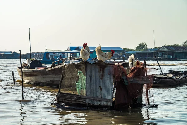 Village flottant, Cambodge, Tonle Sap, île de Koh Rong . — Photo