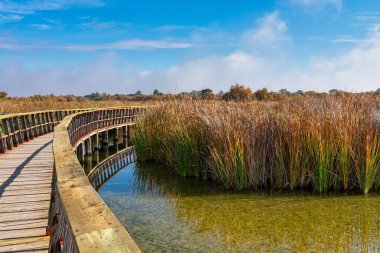 Tablolar Daimiel Ulusal Parkı, Castilla la la Mancha, İspanya