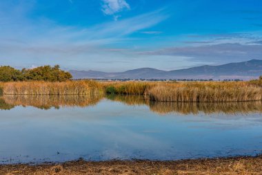 Tablolar Daimiel Ulusal Parkı, Castilla la la Mancha, İspanya