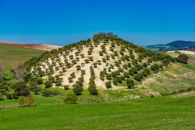 Madrigueras 'ın Sierra De Grazalema, Endülüs, İspanya' daki manzarası.