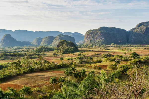 Údolí Vinales na Kubě je hlavní oblastí pěstování tabáku — Stock fotografie
