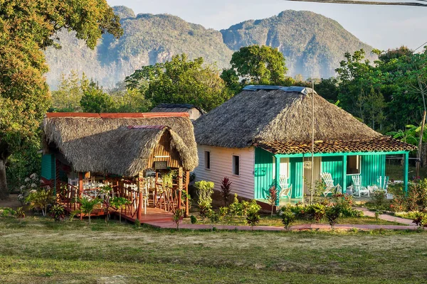 Das vinales-tal in kuba ist ein wichtiges tabakanbaugebiet — Stockfoto