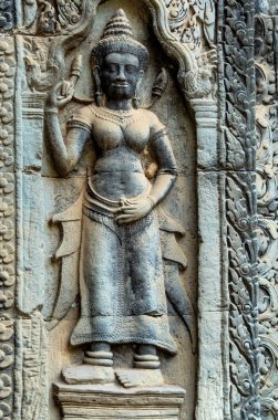 Antik Tapınağı, Ta Prohm, Angkor, Kamboçya