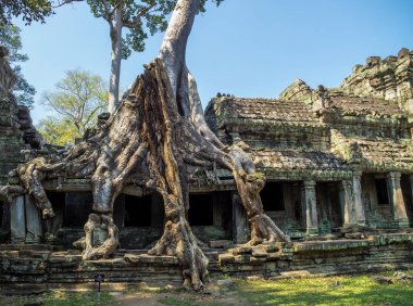 Siem Reap, Kamboçya'da karmaşık Angkor Wat Tapınağı Preah Khan