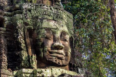 Ta Som Tapınağı Angkor Wat kompleksi, Kamboçya, Asya
