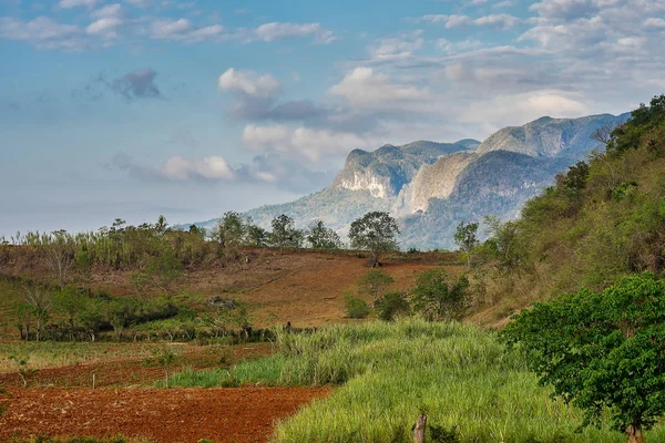 El valle de Vinales en Cuba es una importante zona de cultivo de tabaco — Foto de Stock