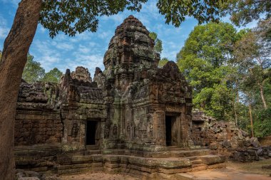 Ta Som Tapınağı Angkor Wat kompleksi, Kamboçya, Asya