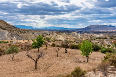 İspanya'da Murcia yakınlarındaki Abanilla ve Mahoya Çolak