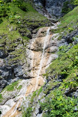 Almanya 'nın Bavyera kentindeki Bad Hindelang çevresindeki manzara