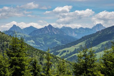 Almanya 'nın Bavyera kentindeki Bad Hindelang çevresindeki manzara