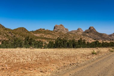 Tigray, Kuzey Etiyopya Gheralta peyzaj.