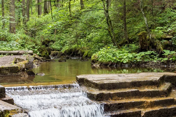 Piccola cascata nella Rappenalptal vicino a Bad Hindelang in Baviera, Germania — Foto Stock