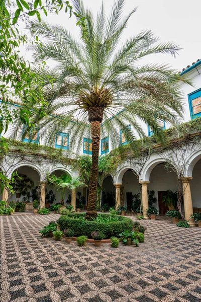 Patio jardín del Palacio de Viana en Córdoba, Andalucía, España . —  Fotos de Stock