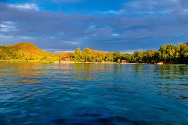 Curieuse, Seyşeller adasının sahil şeridi.