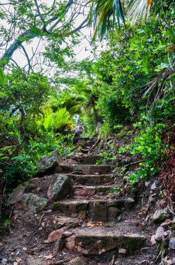 Seyşeller 'deki tropik ada Curieuse, Hint Okyanusu, Afrika