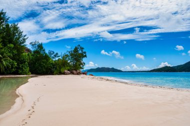 Curieuse, Seyşeller adasının sahil şeridi.