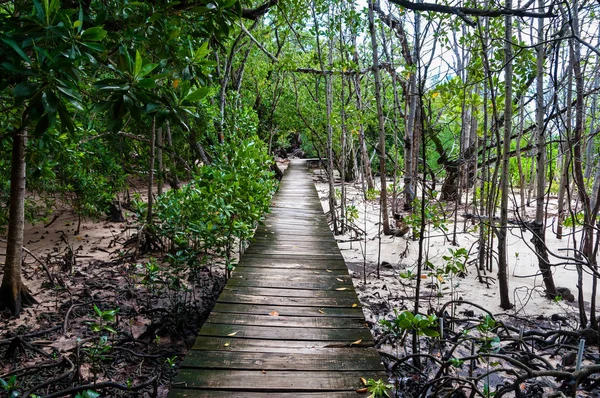 Isla tropical Curieuse en Seychelles, Océano Índico, África — Foto de Stock