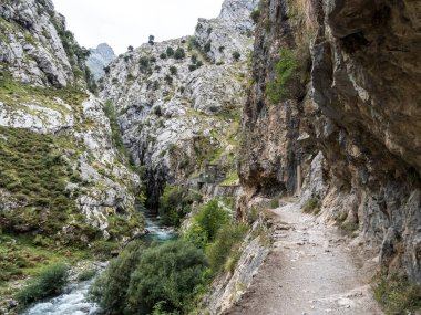 Bakımları trail garganta del Bakımı, Picos de Europa dağlar, İspanya