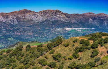 Sierra de Grazalema doğal parkı manzarası, Cadiz eyaleti, Endülüs, İspanya.