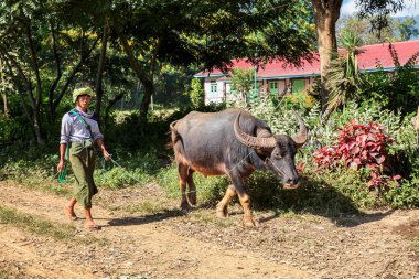 Kyaung, Myanmar - Nov 10, 2019: Village Kyaung near of Shwenandaw Monastery