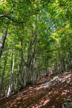 French countryside. Col de Rousset. View of the heights of the Vercors, France